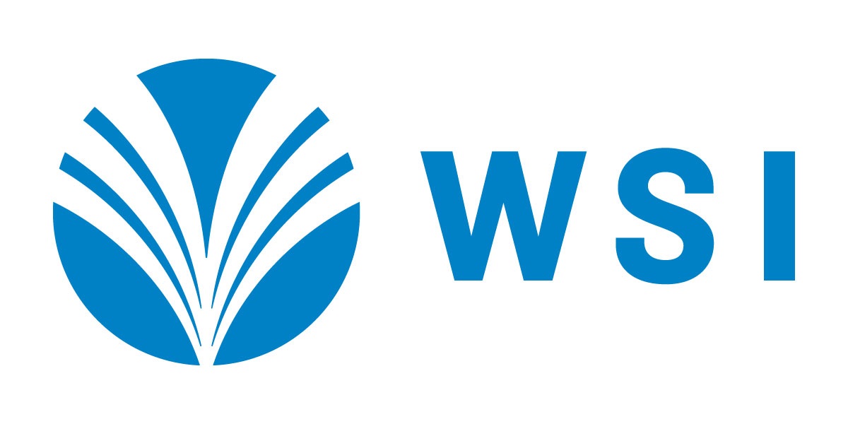 Washing Systems WSI Logo